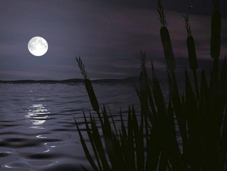 lune sur le lac
