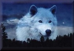 loup dans le ciel